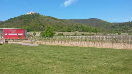 Schlossblick (© WG Müller-Kern)