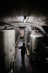 2025_03_Pfalz_B1A0162_1_final_web