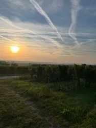 WhatsApp Bild 2025-09-12 um 11.21.03_033c0d5d