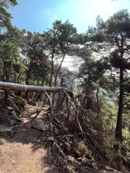 WhatsApp Bild 2025-09-12 um 11.29.17_93b7a320