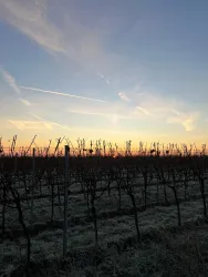 WhatsApp Bild 2025-09-12 um 11.03.41_41a4a6f6