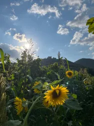 WhatsApp Bild 2025-09-12 um 11.21.37_ab4a7c6e