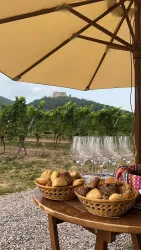 WhatsApp Bild 2025-09-12 um 11.00.06_014398cb