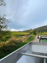 WhatsApp Bild 2025-09-12 um 11.20.04_43070908