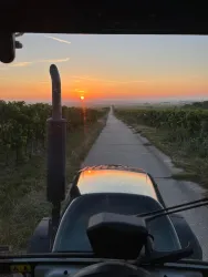 WhatsApp Bild 2025-09-12 um 11.05.10_5690c816