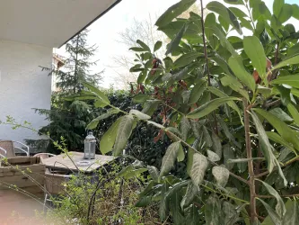 Nuwenstat Terrasse