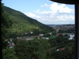 Blick aus den Zimmern