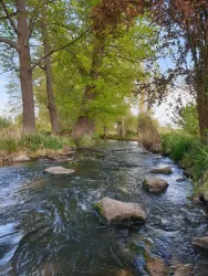 20210509_180636 - Kopie - Kopie