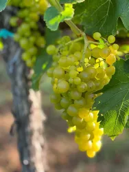 IMG-20240406-WA0004 - Kopie - Kopie