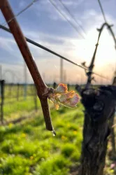 IMG-20240406-WA0003 - Kopie