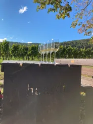 Weinlagen Erlebnis-Tour über die Haardt_1