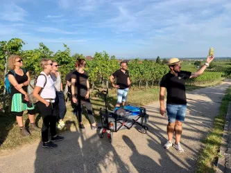 Weinlagen Erlebnis-Tour über die Haardt_7