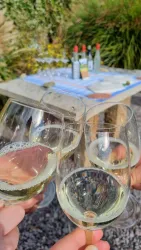 Weinlagen Erlebnis-Tour über die Haardt_3