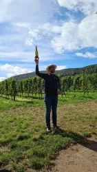Weinlagen Erlebnis-Tour über die Haardt_16