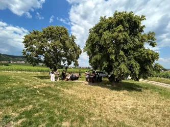 Weinlagen Erlebnis-Tour über die Haardt_9