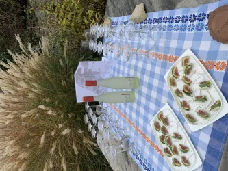 Weinlagen Erlebnis-Tour über die Haardt_10
