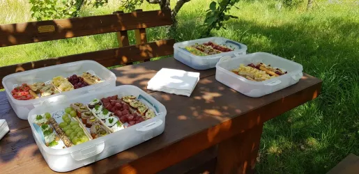 Weinlagen Erlebnis-Tour über die Haardt_6