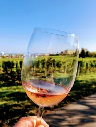 Weinlagen Erlebnis-Tour über die Haardt_4