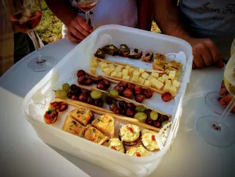 Weinlagen Erlebnis-Tour über die Haardt_11