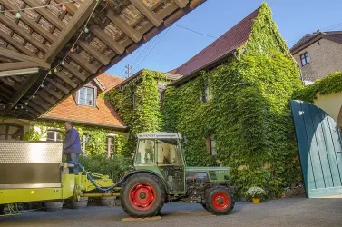 Weingut Thomas Steigelmann