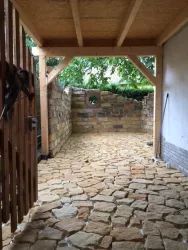 Blick in den Garten