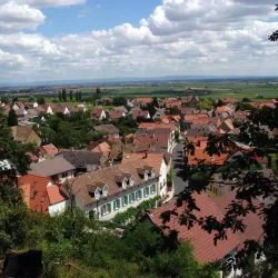 Blick auf das Neustadter Weindorf Königsbach (© TKS GmbH)