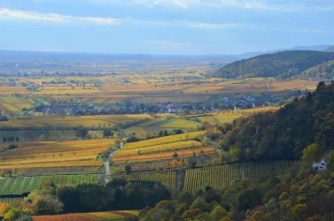 Aussichtspunkt Hambacher Schloß