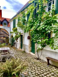 casa limoni cortile6