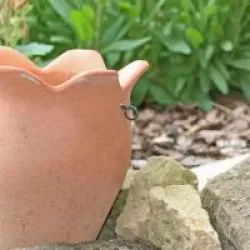 161318294.jpg mit Tontopf im Garten