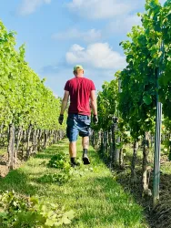 Winzer-Pfalz-Wein-Online-Duttweiler-Weinmanufaktur