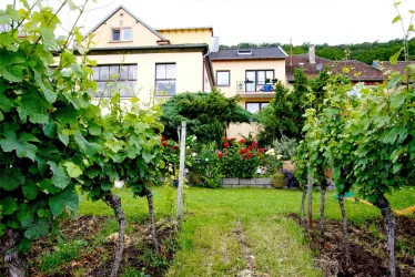 Willkommen in der Pfalz!