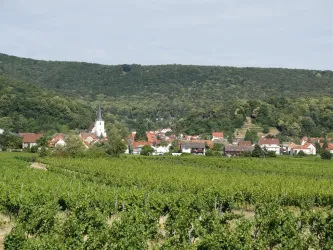 DSC00681