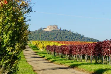 Blick aufs Hambacher Schloss