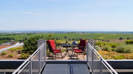 Aussicht Weingut Argus