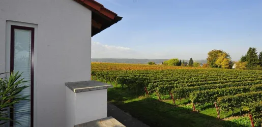 Ausblick Nord - West (© Zimpelmann)