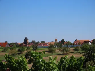 Blick auf Dackenheim (© Elke Metzger)