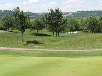 Golfplatz Bild 3, Rasenfläsche mit Bäumen (© Urlaubsregion Freinsheim)