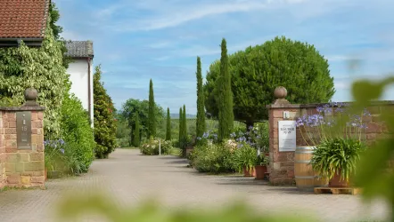 Weingut Mäurer Hofeinfahrt (© Weingut Mäurer)