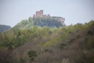 Burg Trifels