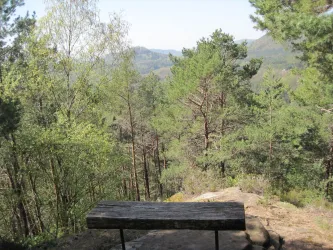 Picknickplatz (© Verein SÜW Annweiler e.V.)