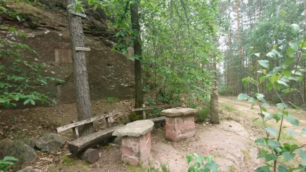 Picknickplatz (© Verein SÜW Annweiler e.V.)