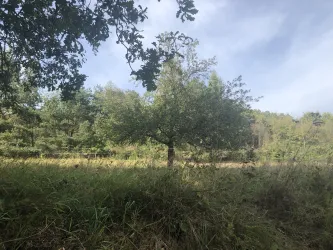 Natur vor der Haustür