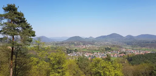 4-Burgen-Blick Gossersweiler-Stein (© Archiv Verein SÜW Annweiler e.V.)