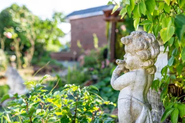 Garten_6