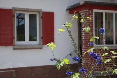 Eingang Ferienwohnung