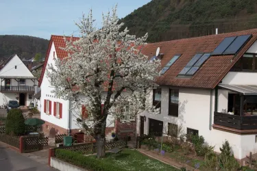 Hausansicht (© Sauer)