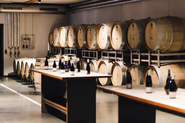 Weingut Braun 2