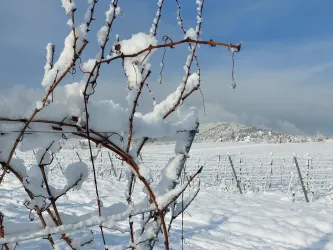 Glühweinwanderung 2