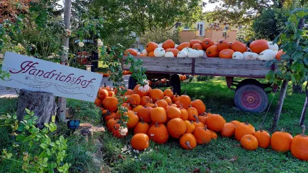 Handrichshof Meckenhem - Pfalz