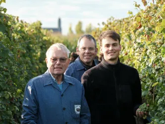 Weingut Metz 3